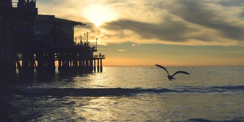 信息疫情下的生命防线：如何在海量健康新闻中识别医学真相？