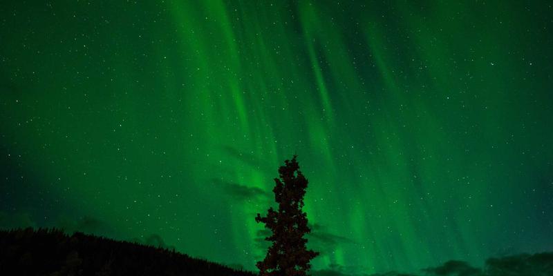 健康资讯真假难辨？权威医疗平台如何守护您的疾病预防与健康生活