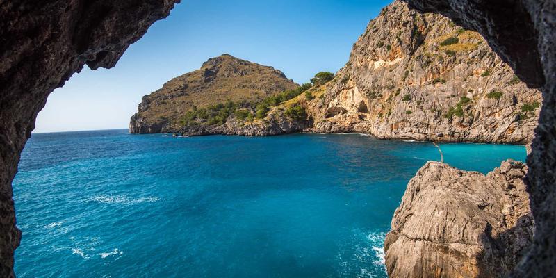 儿科信息迷雾:如何为孩子避开焦虑营销,拥抱科学护理?