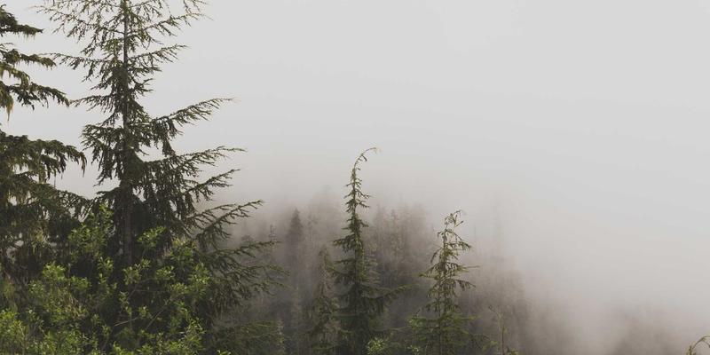 全球医疗新知如何辨真伪？掌握这四大途径与评估方法，守护家人健康