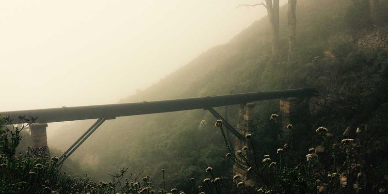 医改文件太晦涩？三步变身“政策翻译官”，打造你的个人就医行动指南