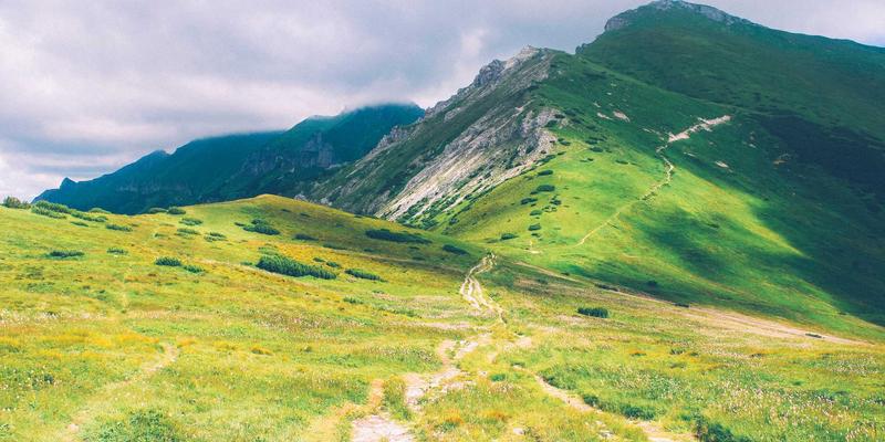 当AI成为你的“私人医生”:如何破解医疗资讯的算法“黑箱”?