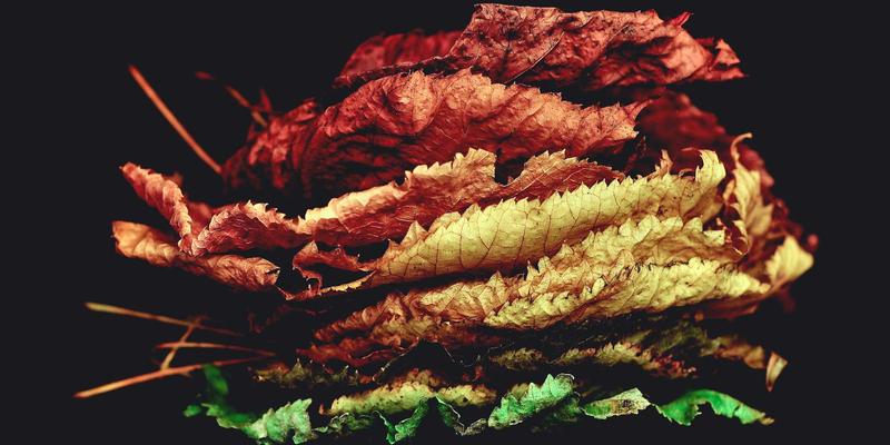 急救知识科普的陷阱:为何短视频让你“一看就会,一用就废”?