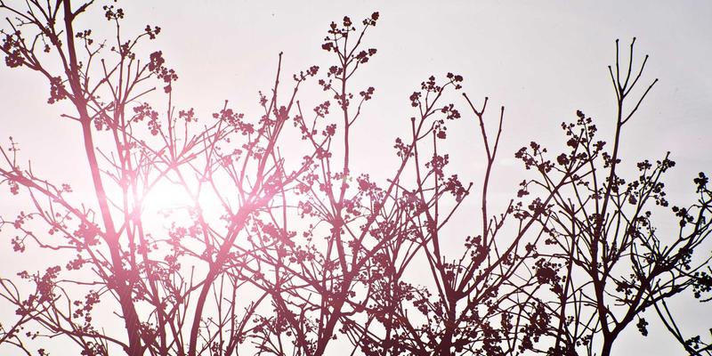 跨国药企新药获批背后：不仅是健康新闻，更是中国患者的希望与挑战